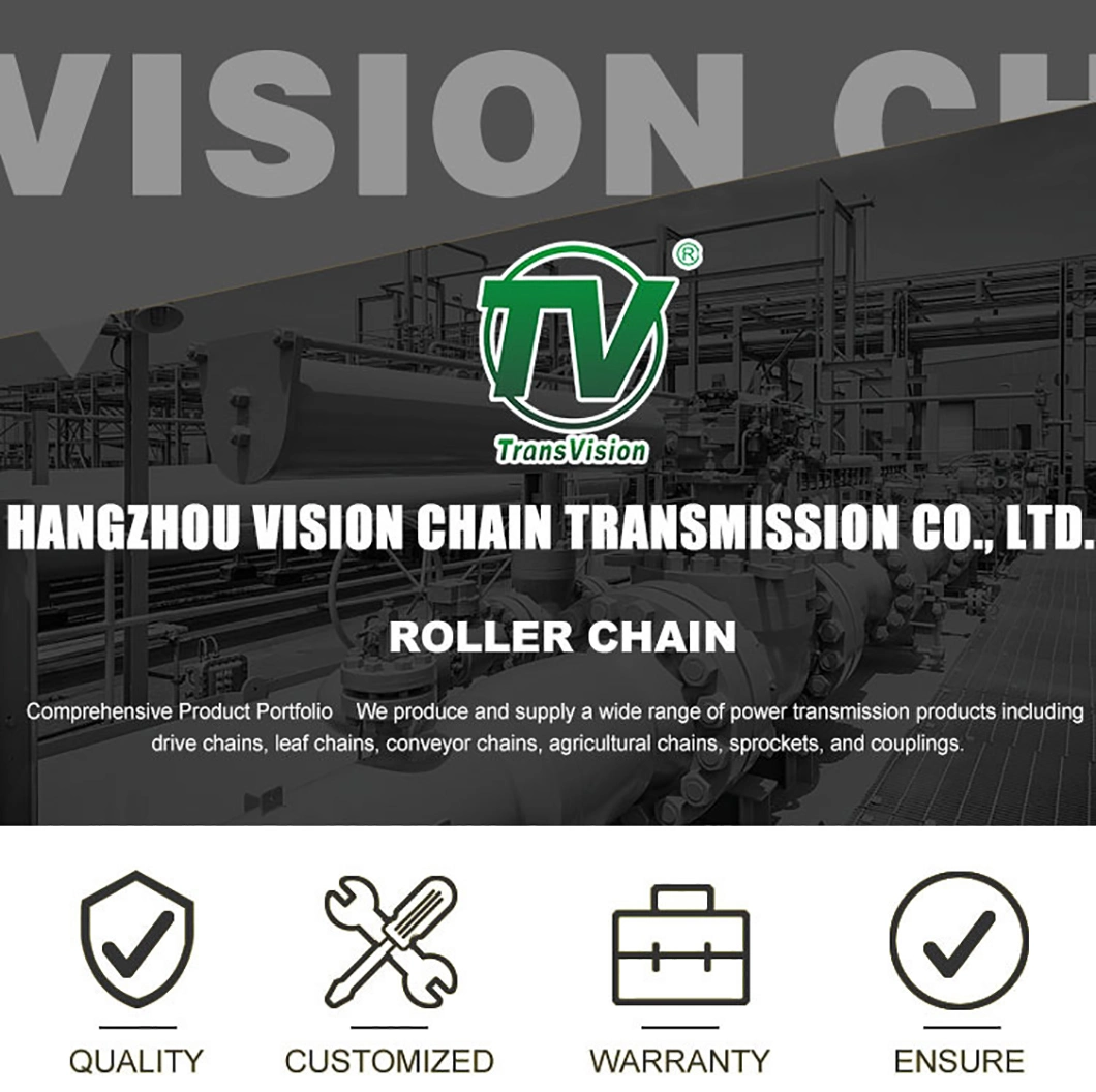 Factory Direct Sales Transmission Conveyor M Fv Series Double Pitch Chain Long Pitch Welded